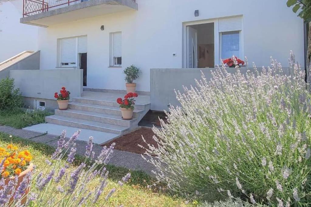 App Racy Appartement Umag Buitenkant foto
